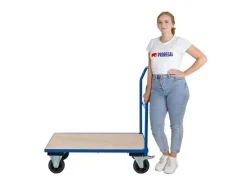 Bauzubehör|Baugeräte*PROREGAL Profi Plattformwagen HxBxT 102 x 60 x 98 cm Traglast 450 kg Lichtblau
