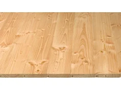 Rauspund^Rauspund Douglasie 21 mm x 116 mm x 4000 mm Qualität 2-3