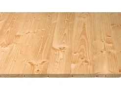 Rauspund^Rauspund Douglasie 2,1 x 11,6 cm x 2,1 cmx 200 cm 1 Brett