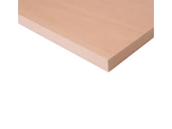 Regalbau|Möbelbauplatten^Regalbrett 200 cm x 20 cm x 1,6 cm Buche Holznachbildung